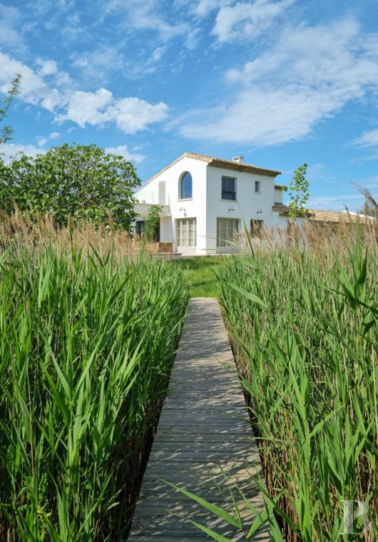 A farmhouse set amidst the marshes north of Saintes-Maries-de-la-Mer, in the Camargue - photo  n°15